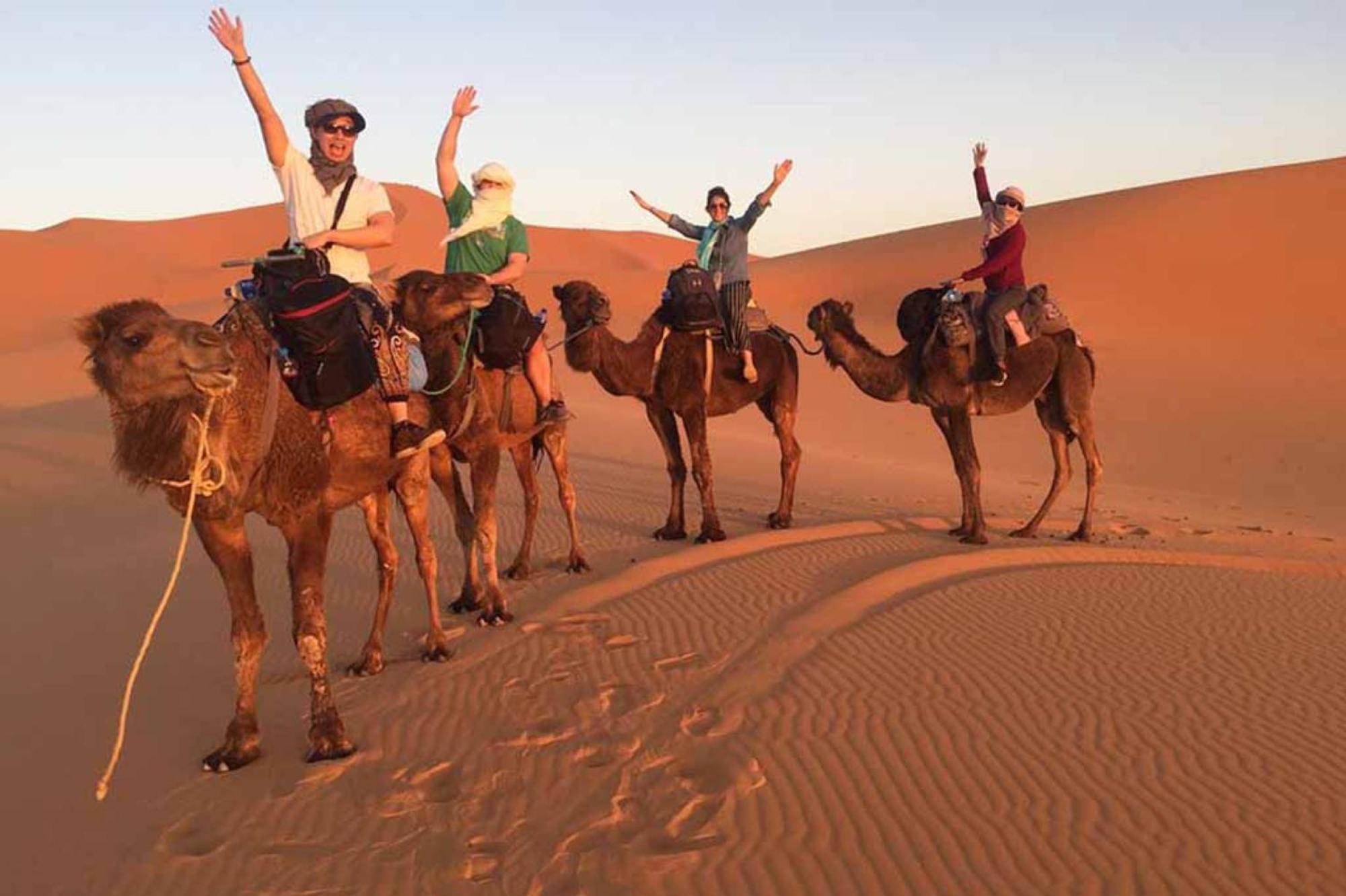 Layali Luxury Desert Camp 梅尔祖卡 外观 照片