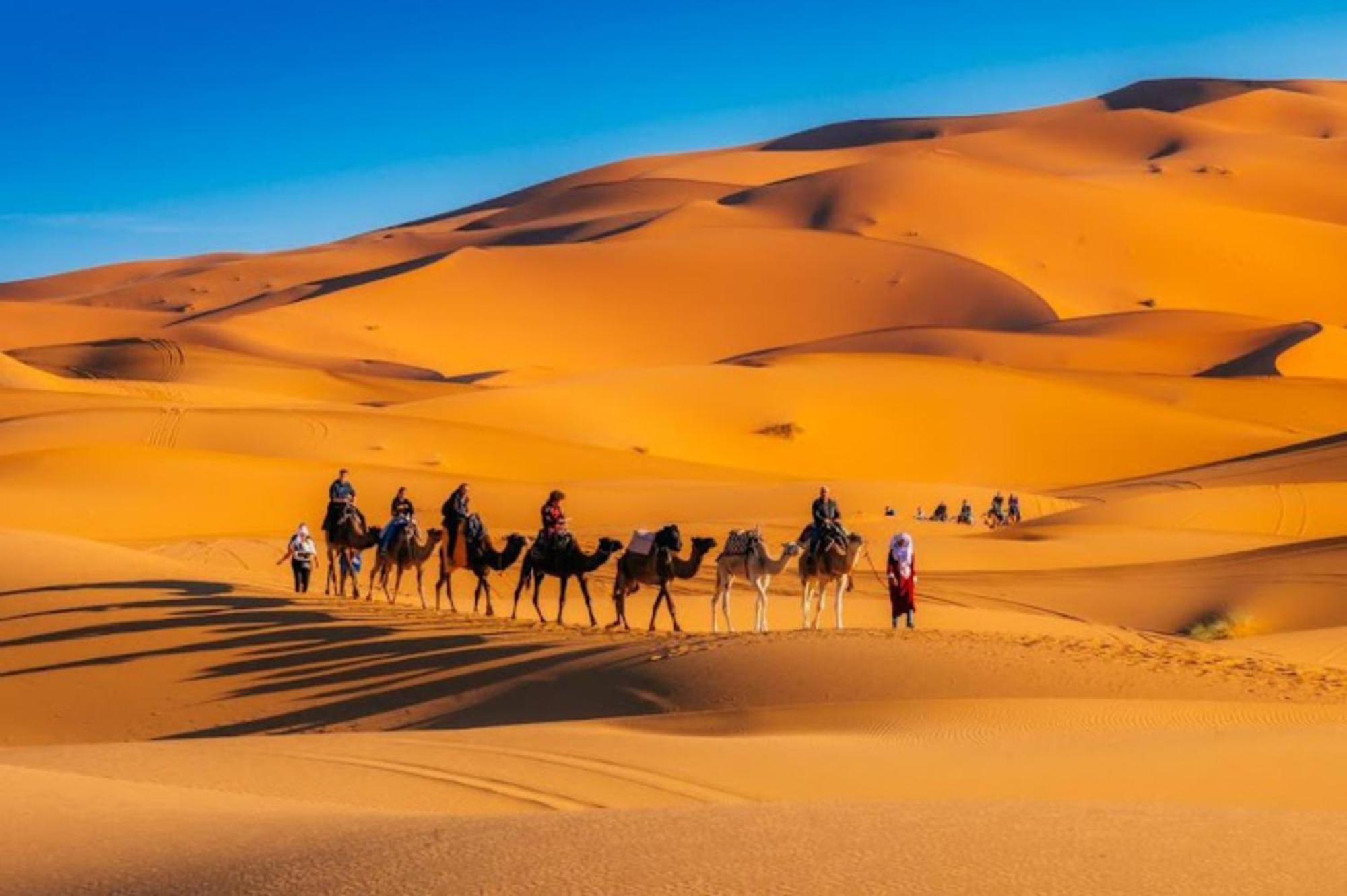 Layali Luxury Desert Camp 梅尔祖卡 外观 照片