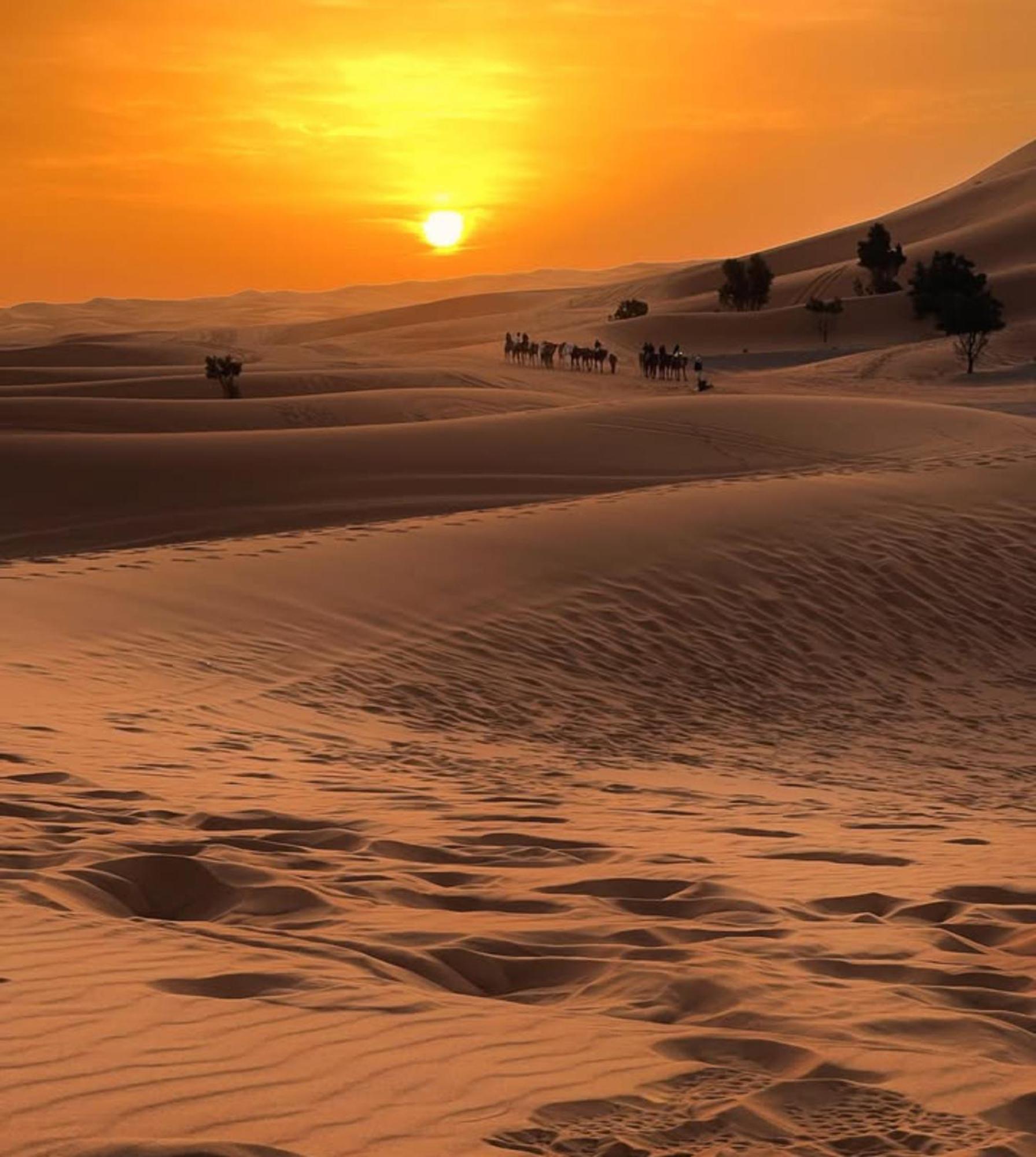 Layali Luxury Desert Camp 梅尔祖卡 外观 照片